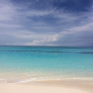 Meet your Posher, Patience